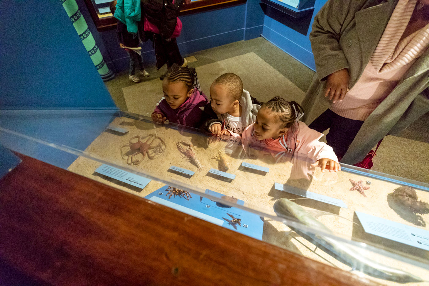 Getting a close-up look at some distinctive animals.