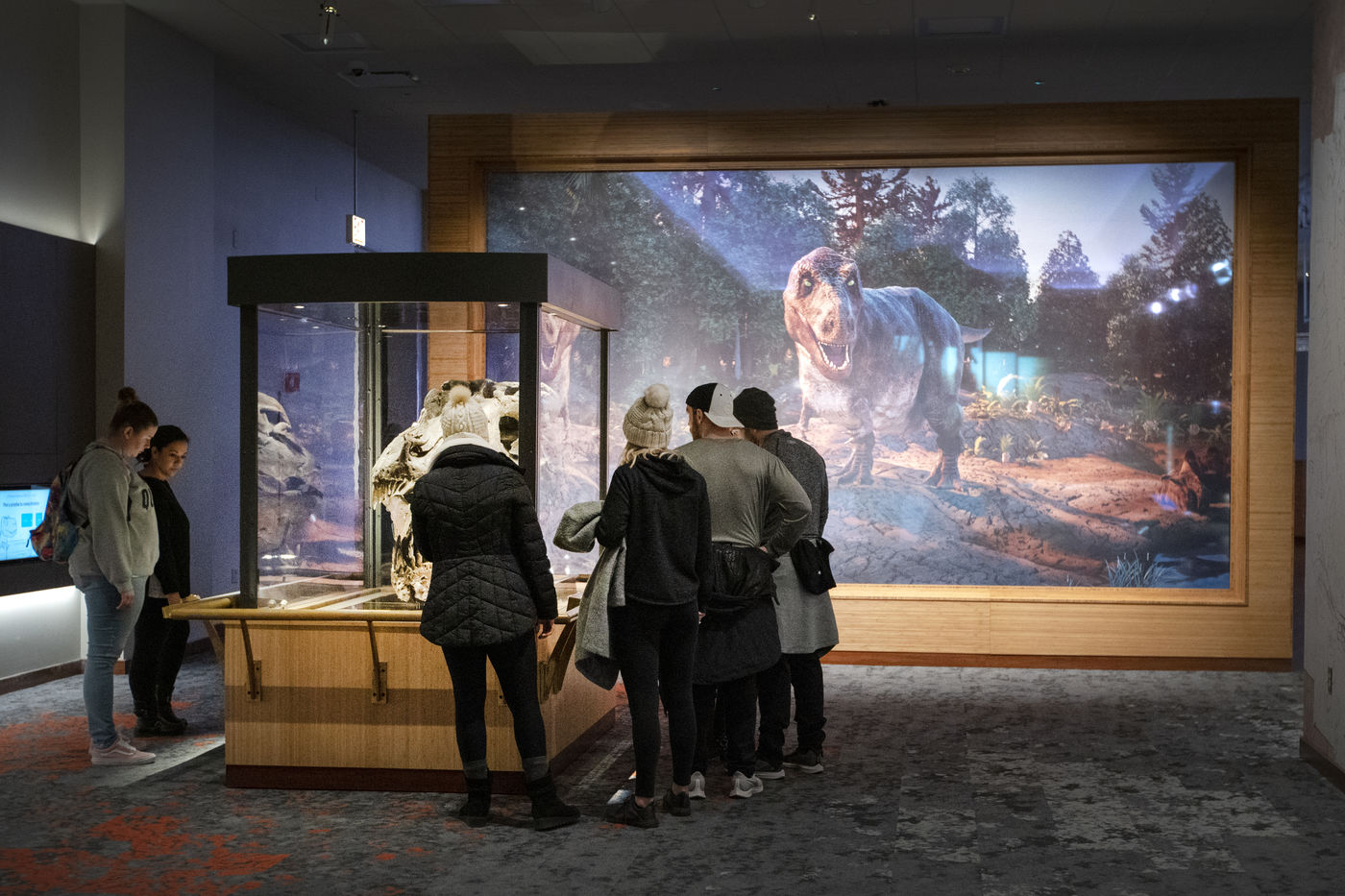 See SUE's fossil skull alongside a mural that recreates what SUE's world might've looked like 67 million years ago.