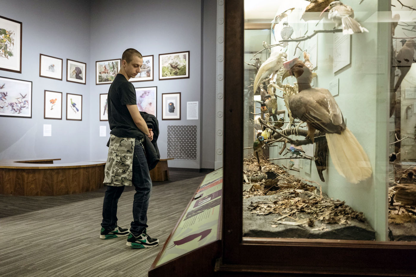 Stroll through a hall filled with winged specimens from all over the world.