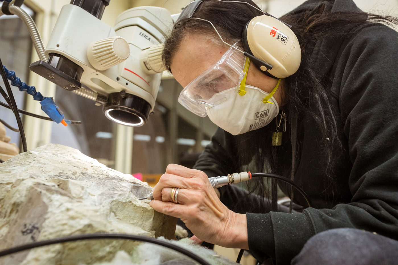 A special exhaust system protects preparators in the Fossil Prep Lab by removing rock dust created during fossil preparation.
