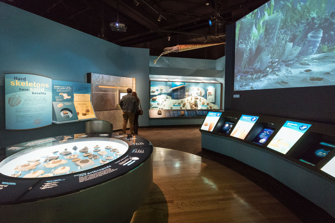 Visitors dive into learning about the life forms that inhabited oceans during the Cambrian period.