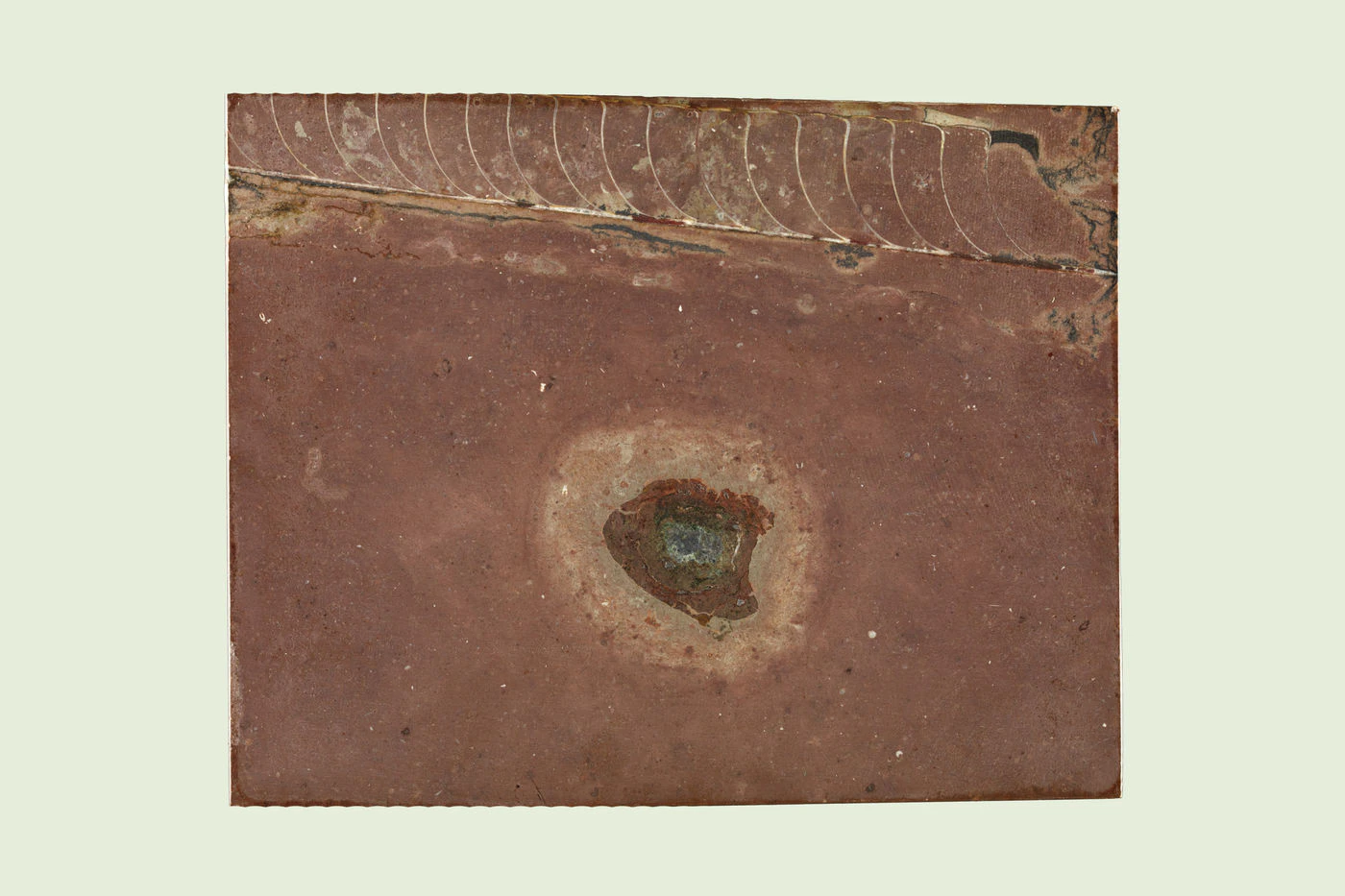 Window Meteorite Home - Meteorites - LibGuides at Field Museum