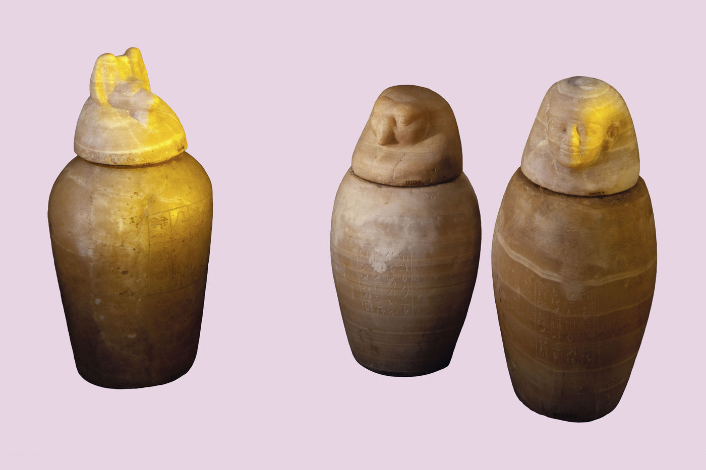 Canopic jars were used to preserve the delicate organs removed from dead bodies during the mummification process.