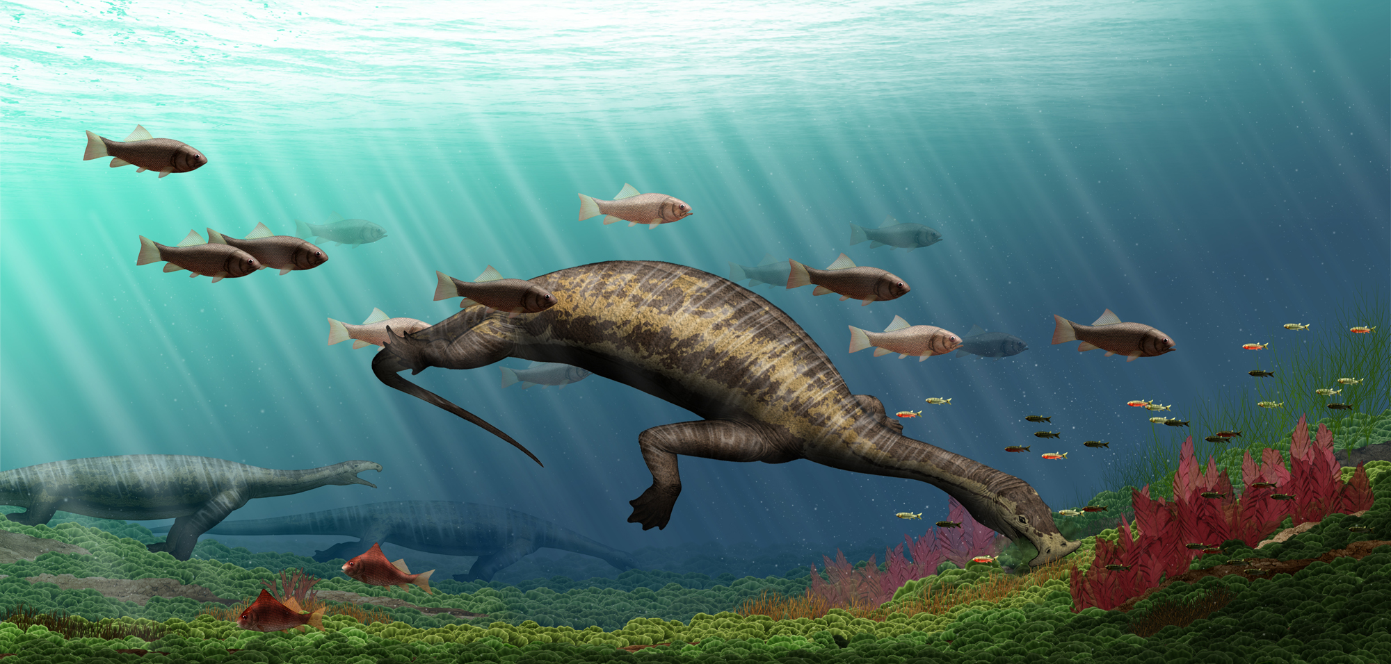 An artistic rendering of an under water scene, featuring the crocodile-sized sea-dwelling reptile, Atopodentatus unicus, swimming with prehistoric fish.