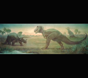 A Charles Knight mural depicting a Triceratops and T. rex as they face-off, while a second T. rex stands in the distance.