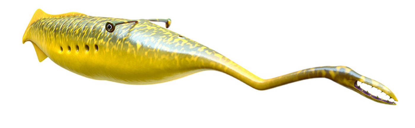 Tully Monster Reconstruction