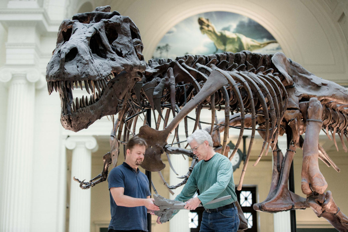 SUE the T. rex - Field Museum