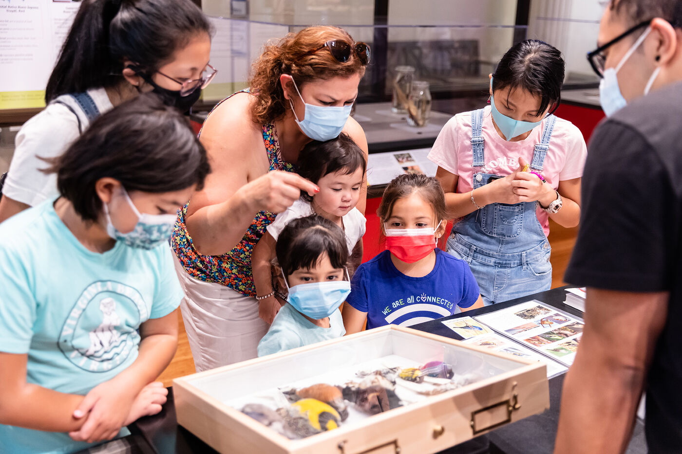 A group of adults and kids look and point at specimens displayed on a counter.