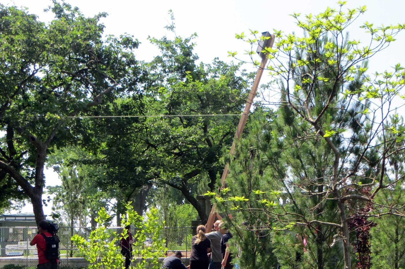 Several people lift a tall wooden pole that has a bat house at the top. 