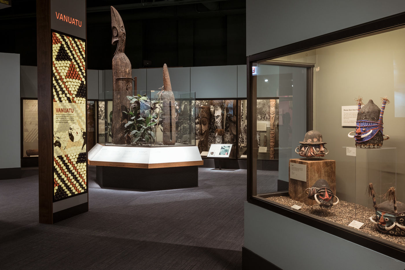 Exhibitions & 3D Movies Field Museum