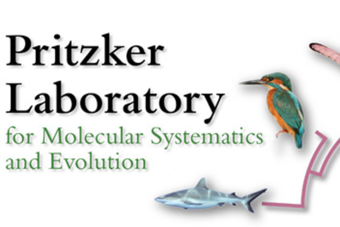 Media for Pritzker DNA Lab
