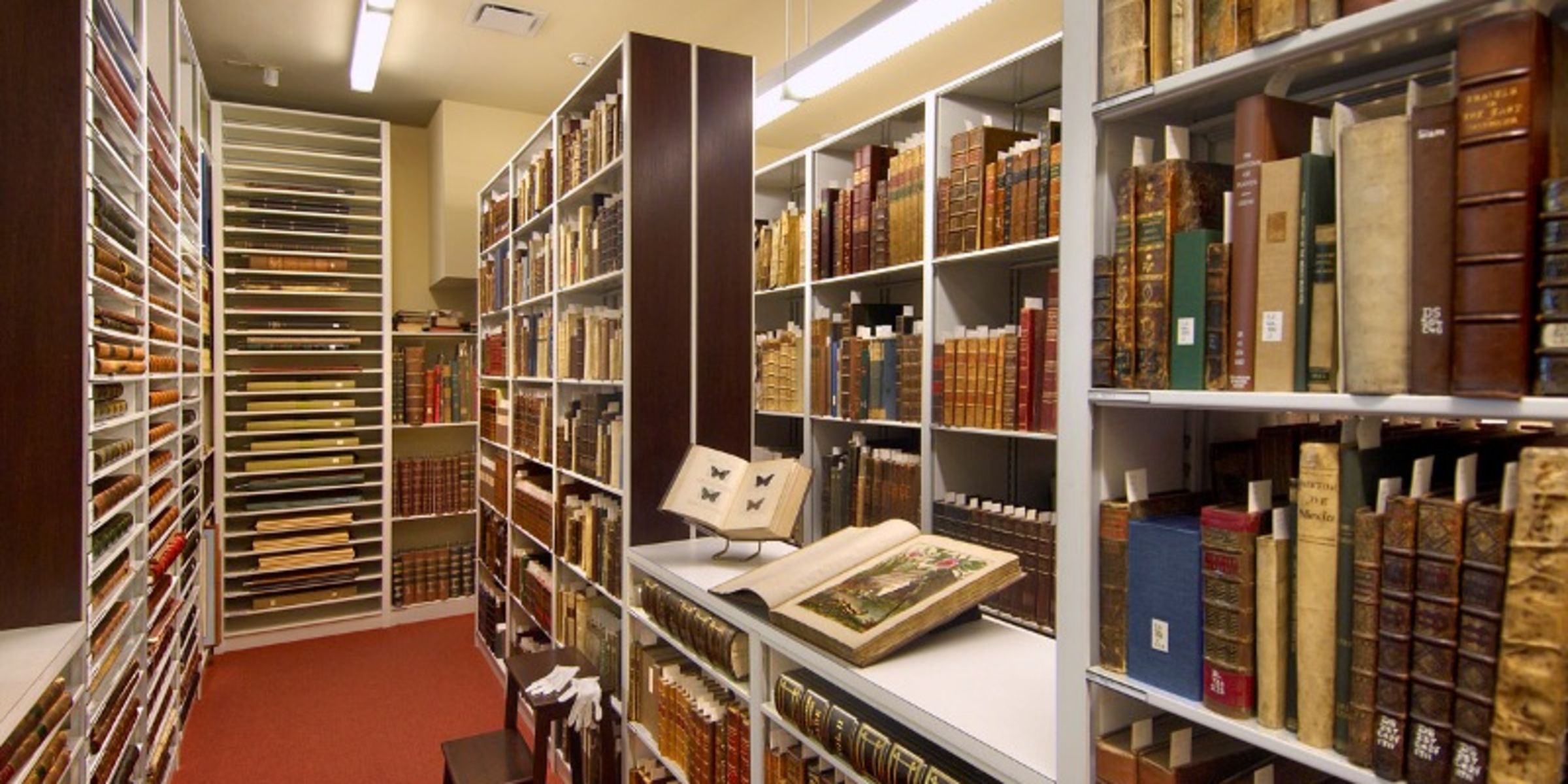 Media for Rare Book Room