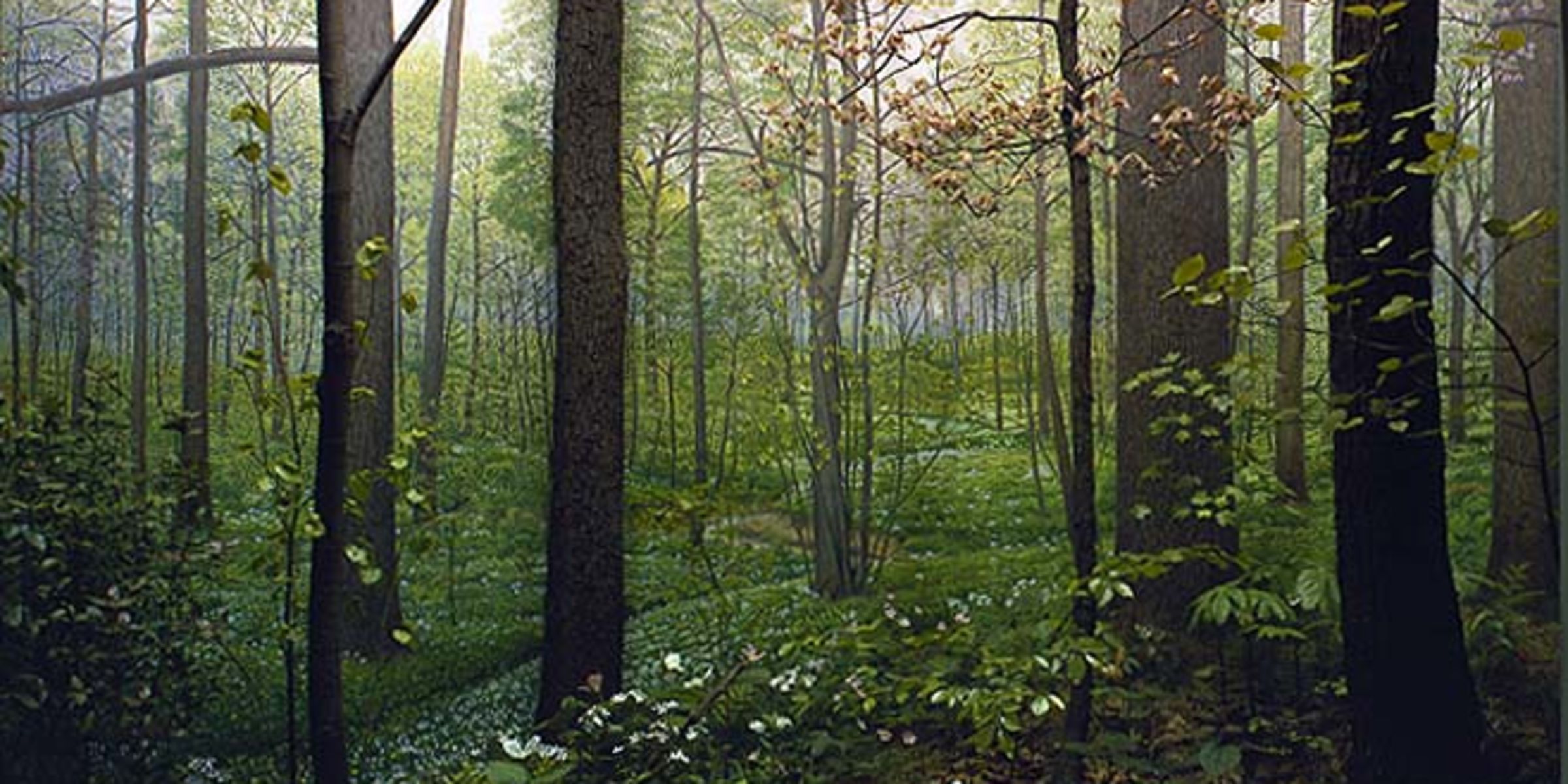Illinois Woodland diorama photo made in 1985 by Ron Testa, B83204c.