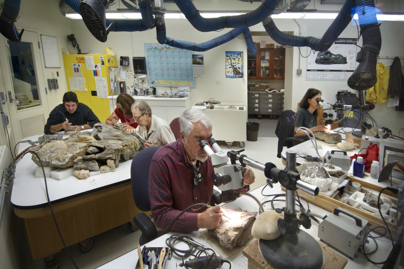 Media for McDonald's Fossil Preparation Lab