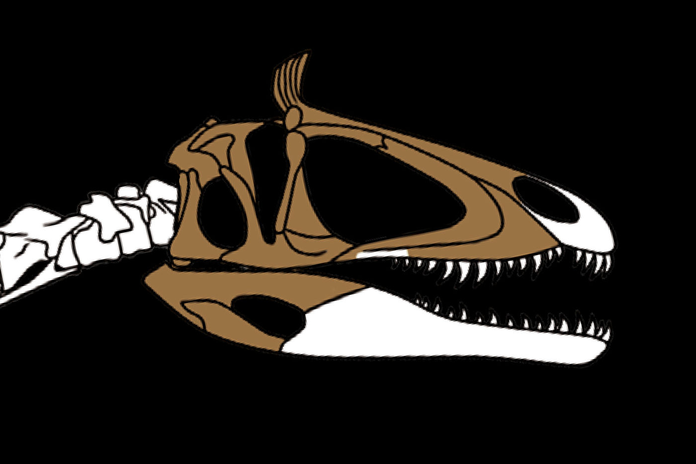 Media for 3D Model: Cryolophosaurus Skull