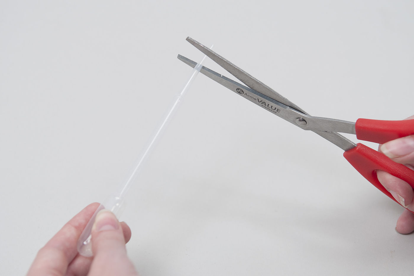 Cutting a section from a polythene transfer pipette.
