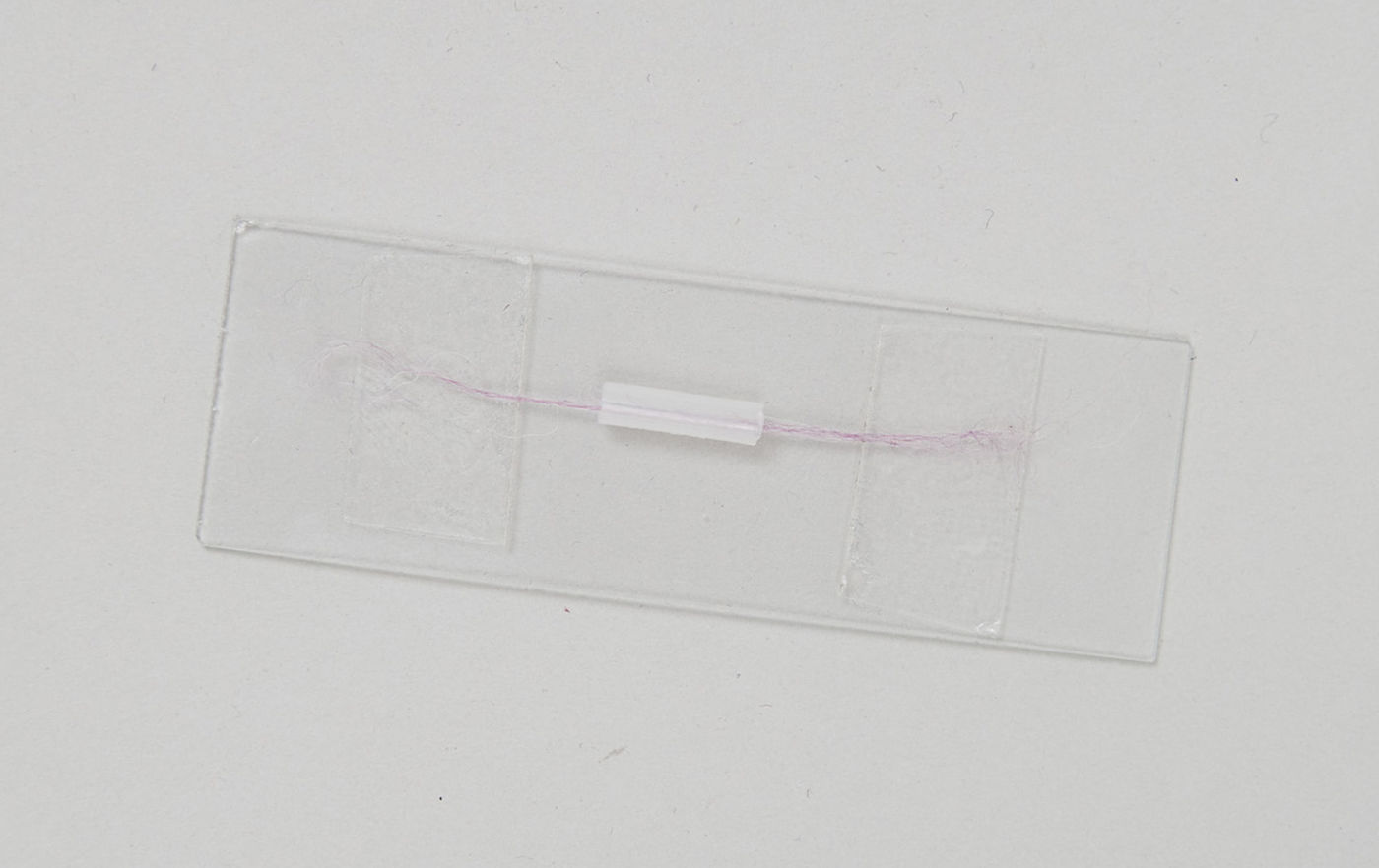 Fiber mounted on microscope slide. The fiber is threaded though the section of transfer pipette and held taut with double-sided tape at either end.