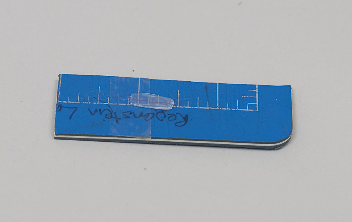 Polythene with embedded fiber, mounted on double-sided tape on a piece of self-healing cutting mat.