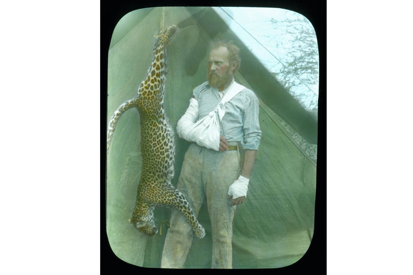 Carl Akeley fought and killed a leopard with his bare hands in Somalia in 1896.