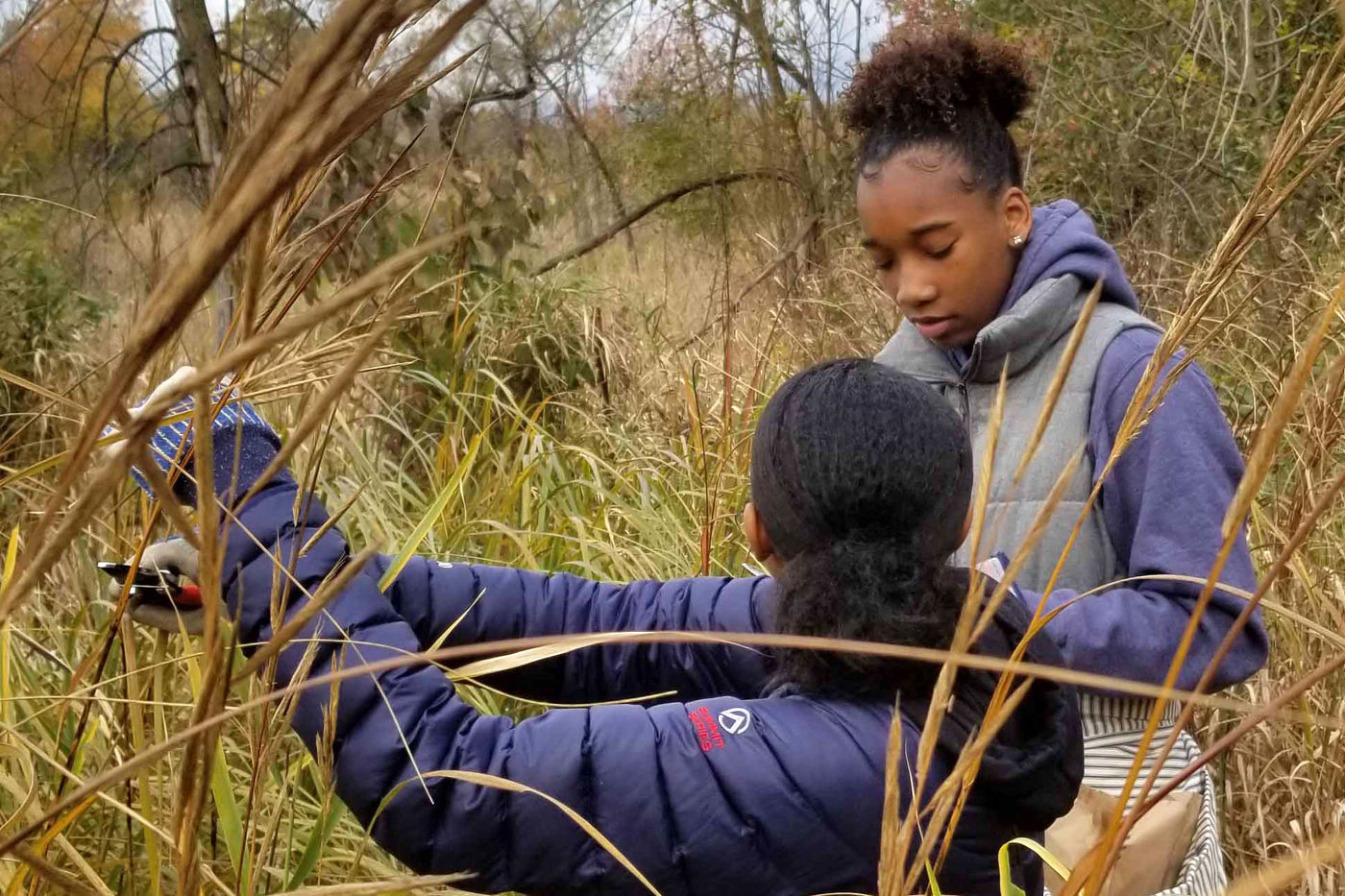High school students join in seed collecting at Beaubien Woods Forest Preserve.
