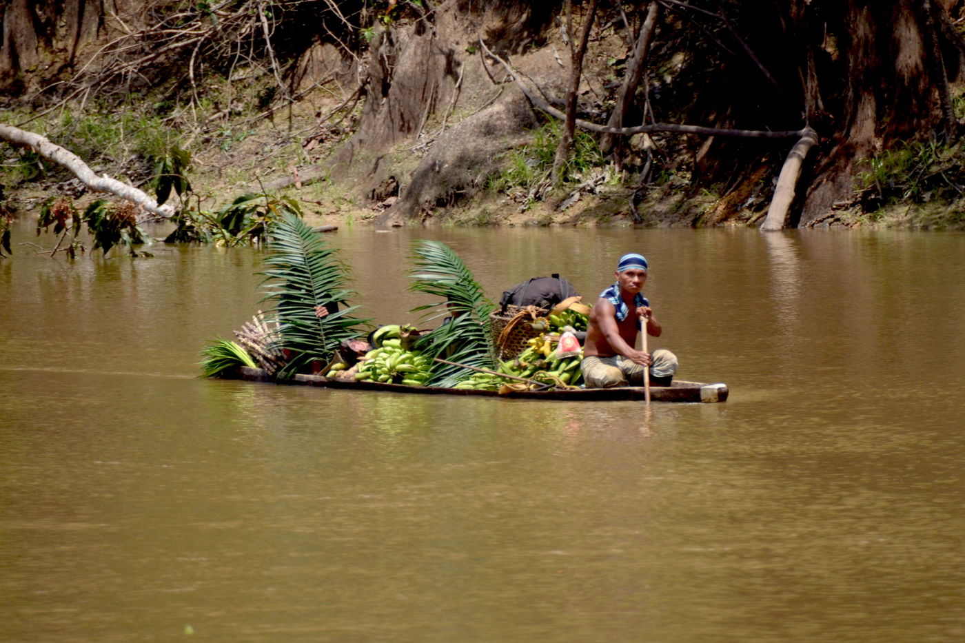 A man paddles down a river, with plants and fruit in his boat.