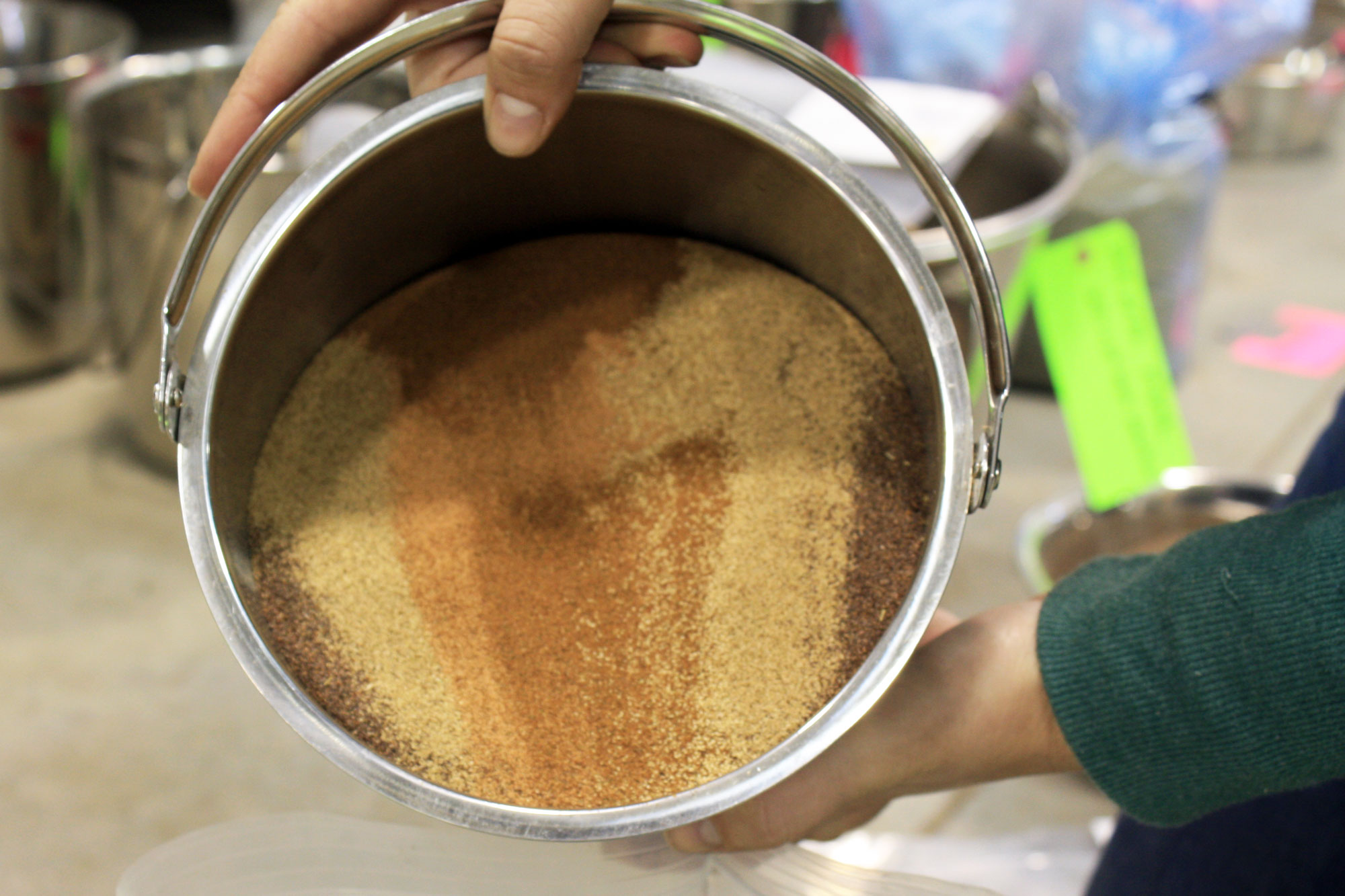 A person holds up a metal bucket filled with yellow, orange, and brown-colored seeds, getting ready to pour them into a plastic bag. 