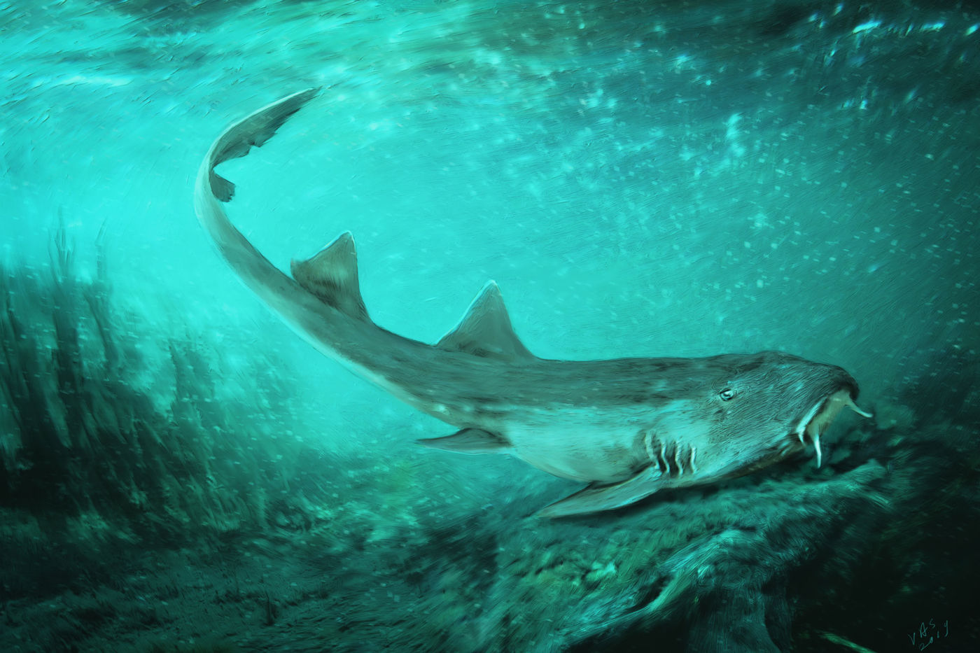 Illustration of a small shark on the sea floor, with a greenish tint to the water. 