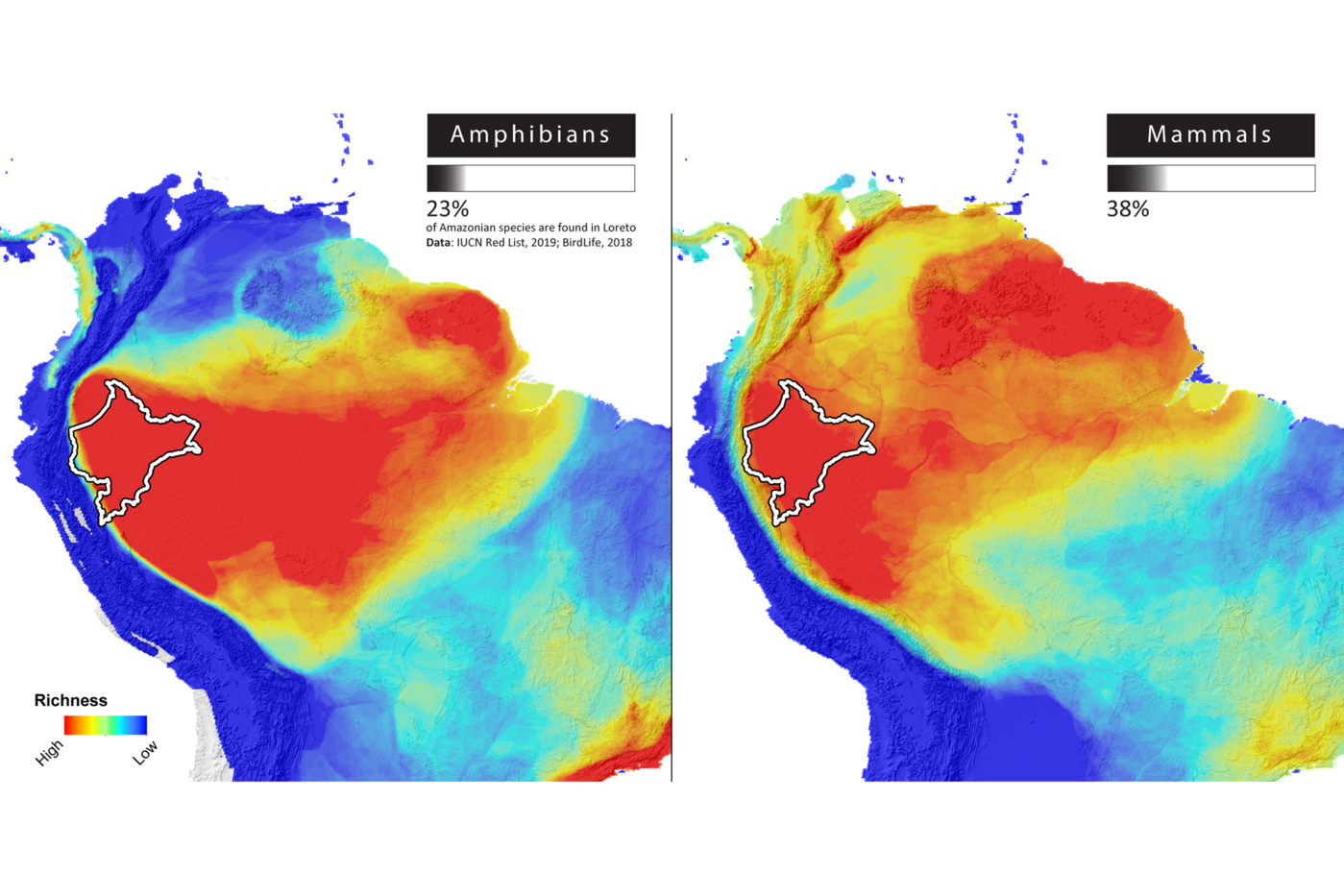 Color-coded maps that show the number of different species across the Amazon basin.