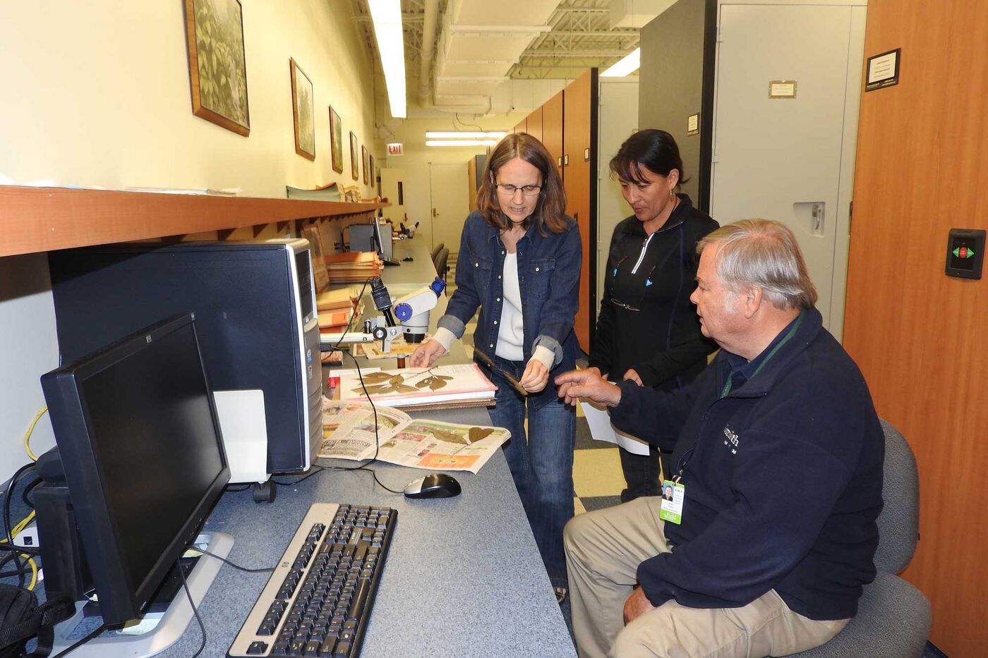 Three people look at dried plant specimens at a desk in a collections area.