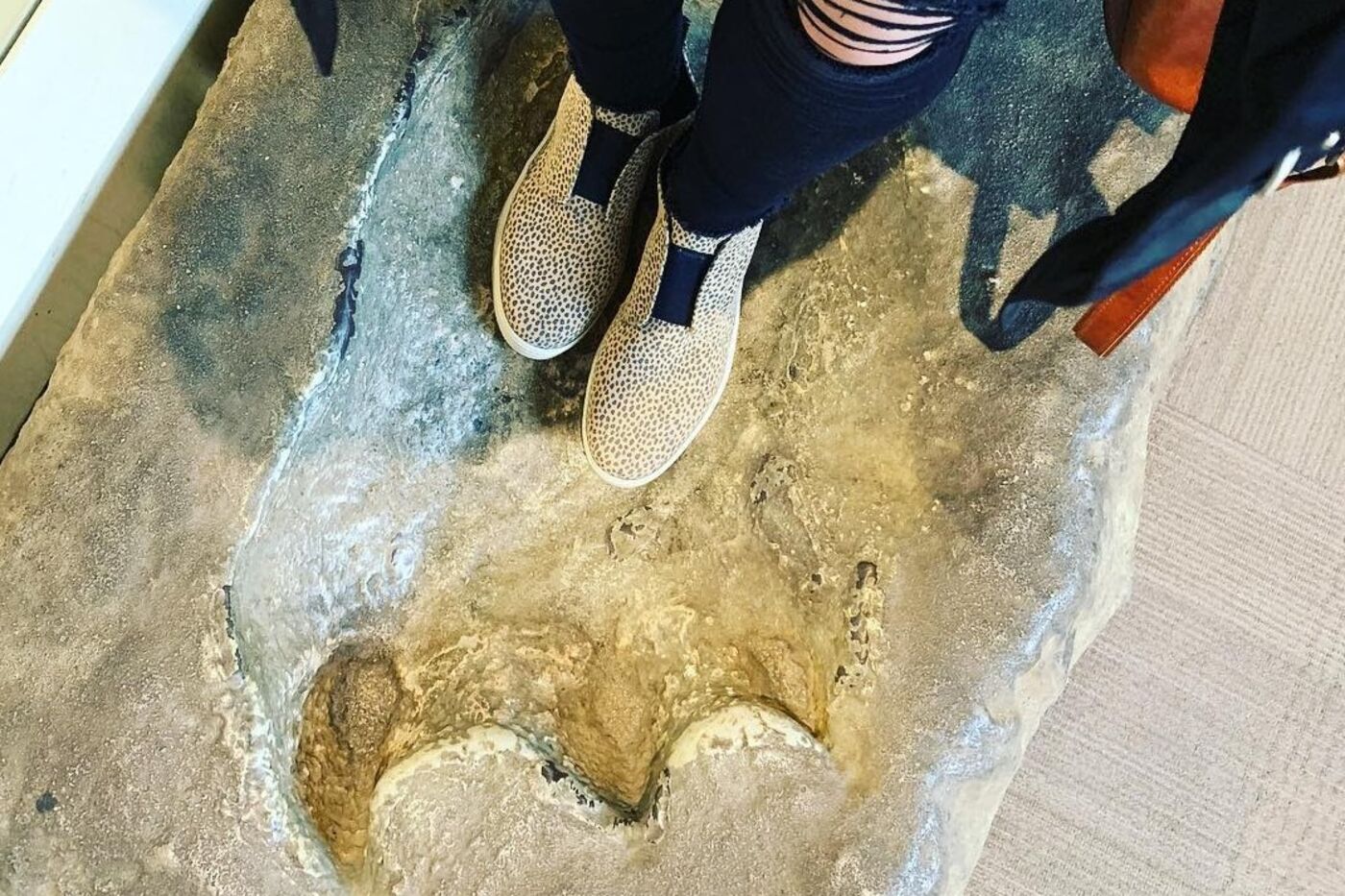 A museum visitor, from the knees down, standing in a giant dinosaur footprint model.