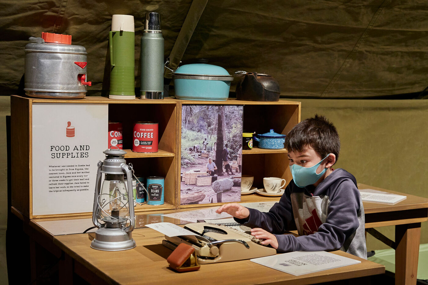 A boy sits a recreation of Jane Goodall's desk in the Becoming Jane exhibition.