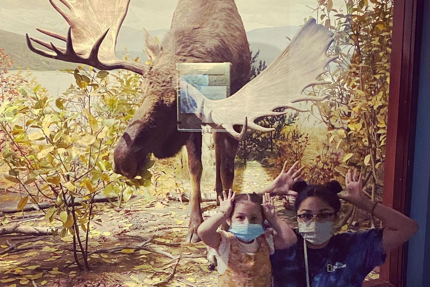 Two visitors in front of the moose diorama, with their hands on their heads simulating moose antlers.