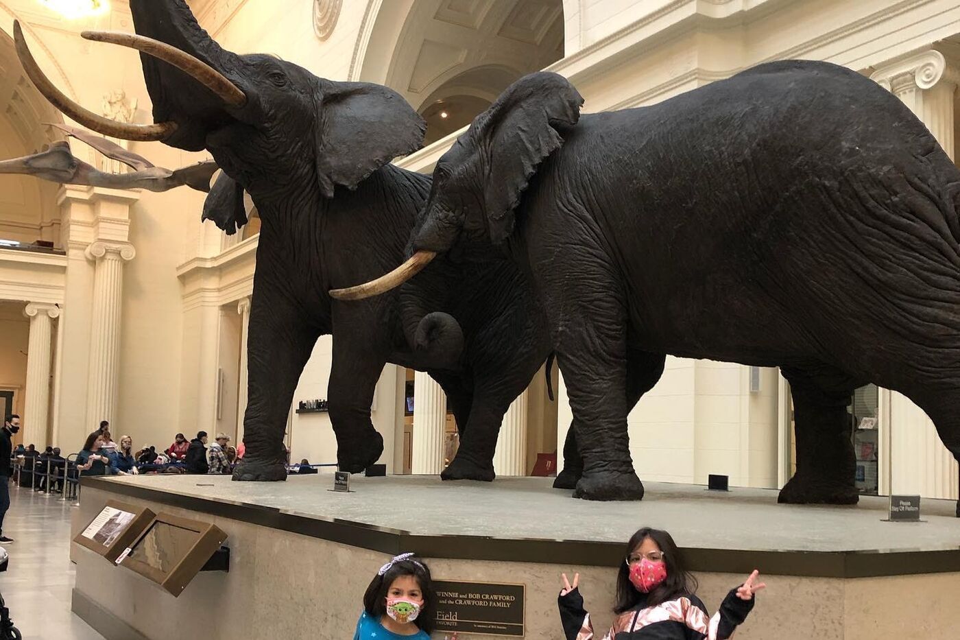 Two young visitors stand at the base of the Fighting Elephants display in Stanley Field Hall.