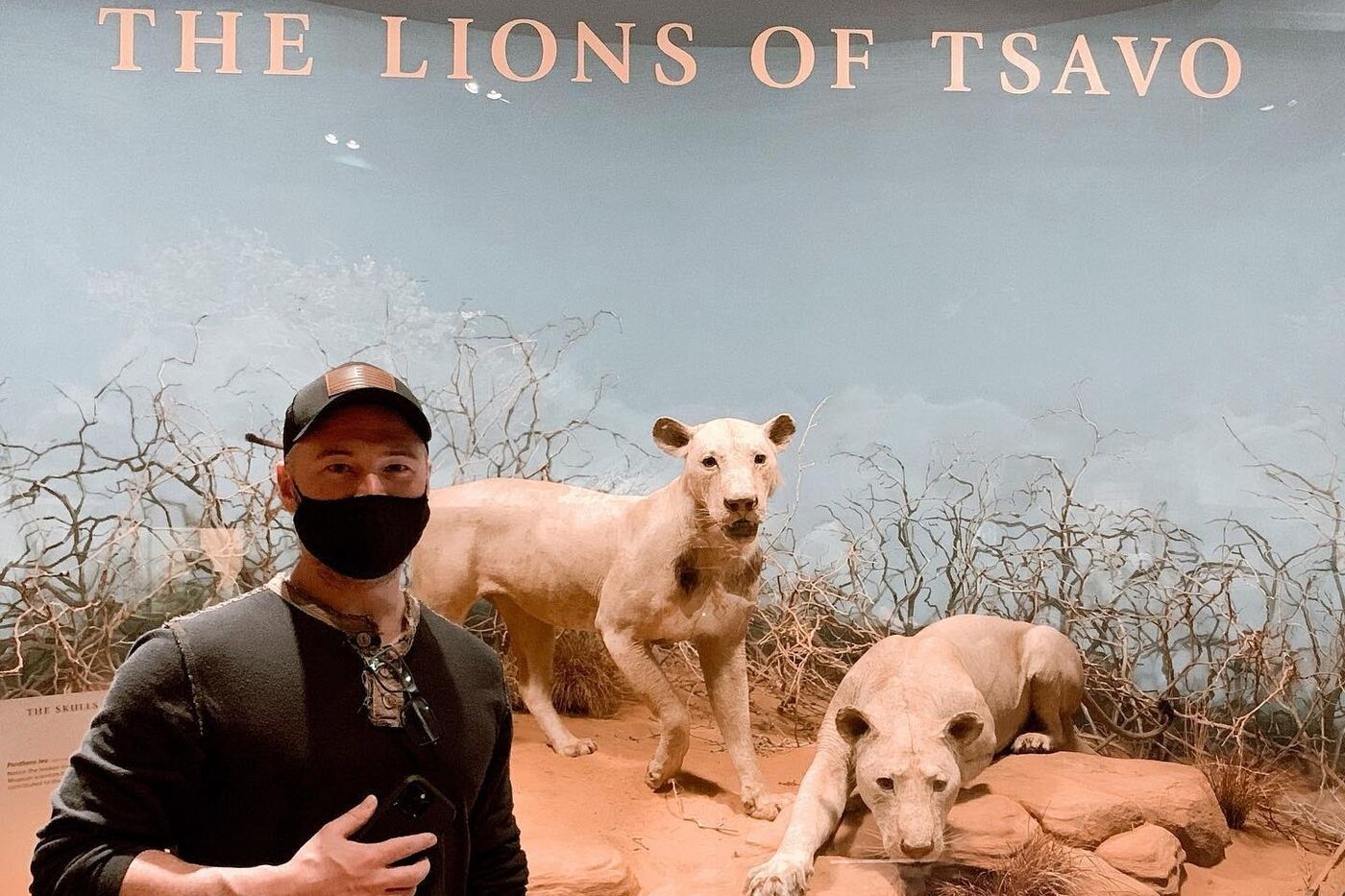 A museum visitor stands in front of the Lions of Tsavo diorama.