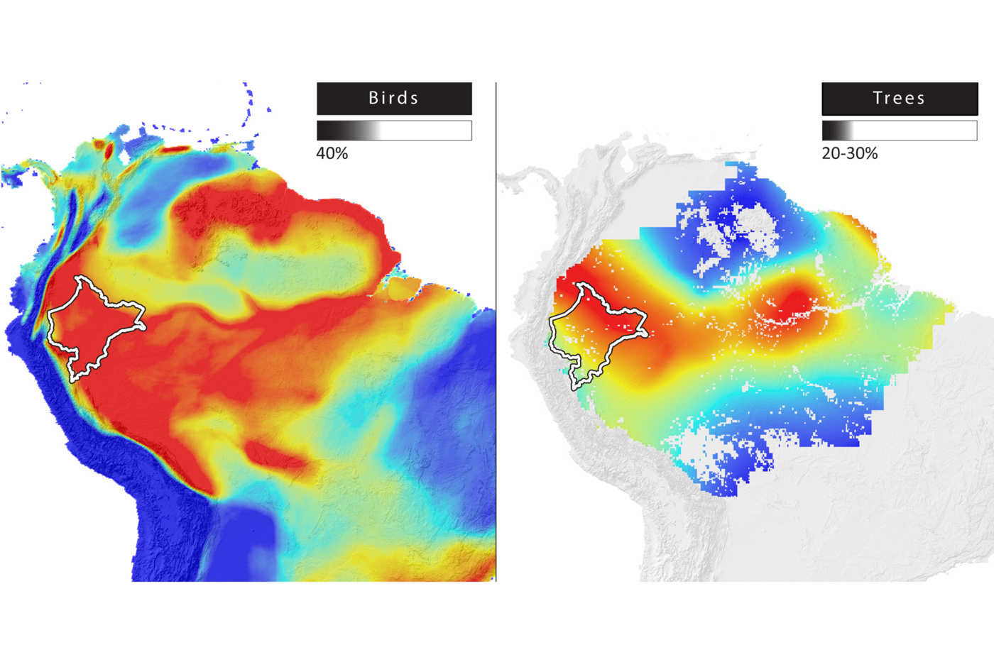 Color-coded maps that show the number of different species across the Amazon basin.