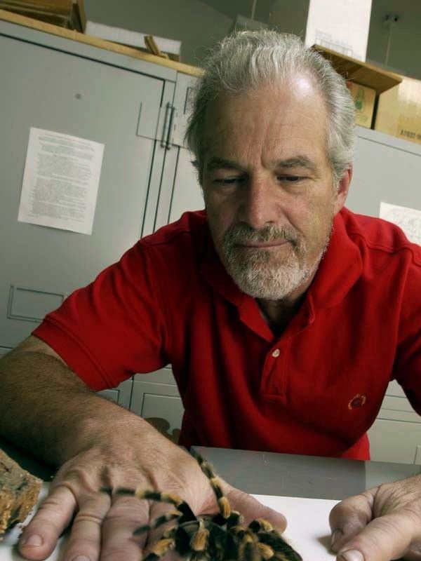 A man in a red shirt calmly holds his hand flat on a table top while and orange-and-black tarantula steps onto his fingers.
