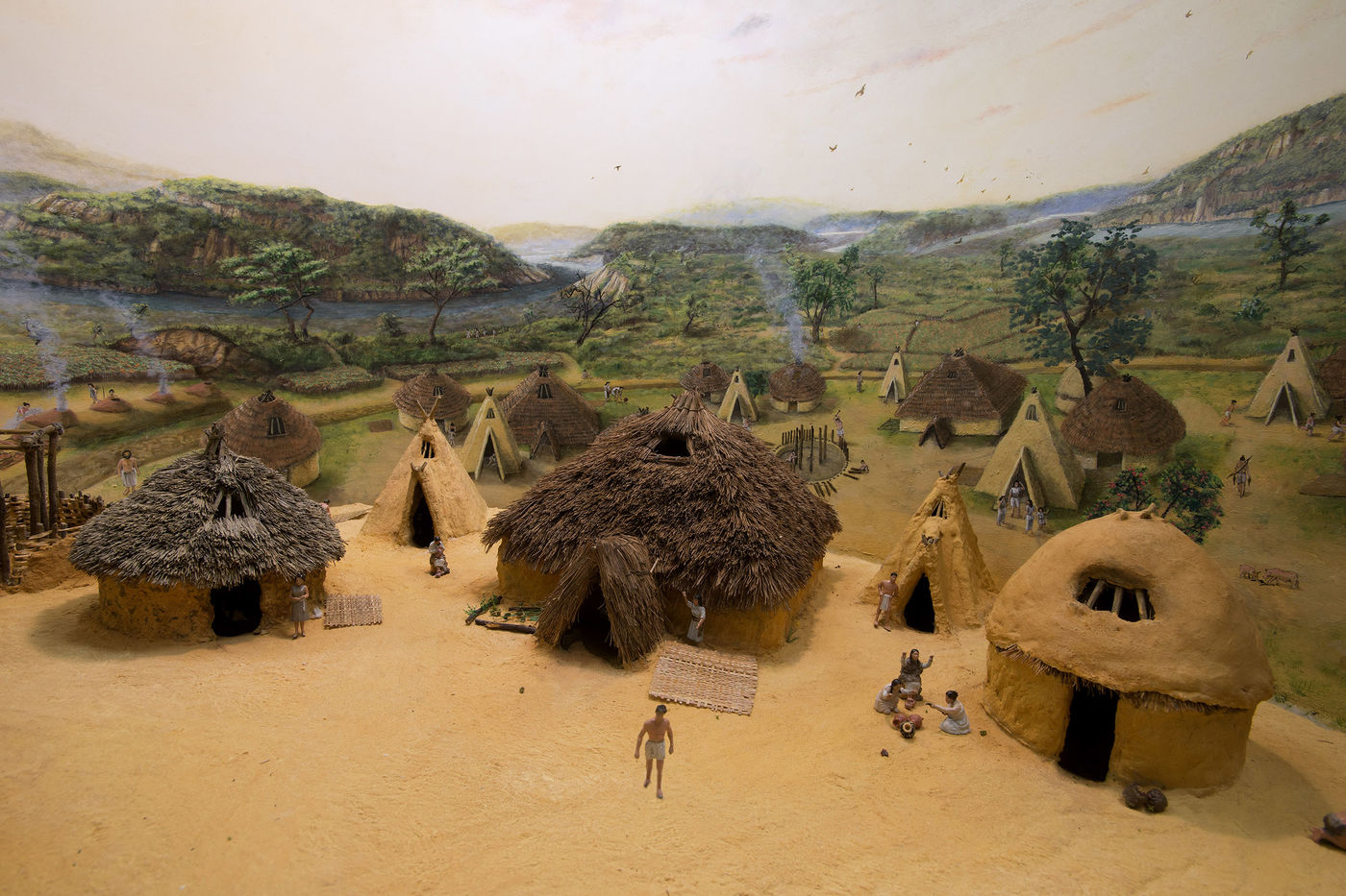 Media for Cyrus Tang Hall of China Exhibition Highlights