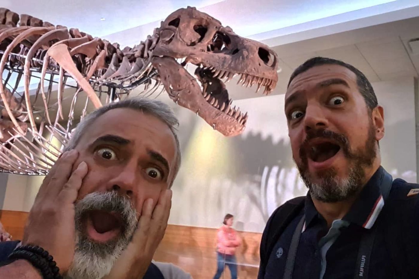 Media for Visiting SUE the T. rex: What to Know Before You Go