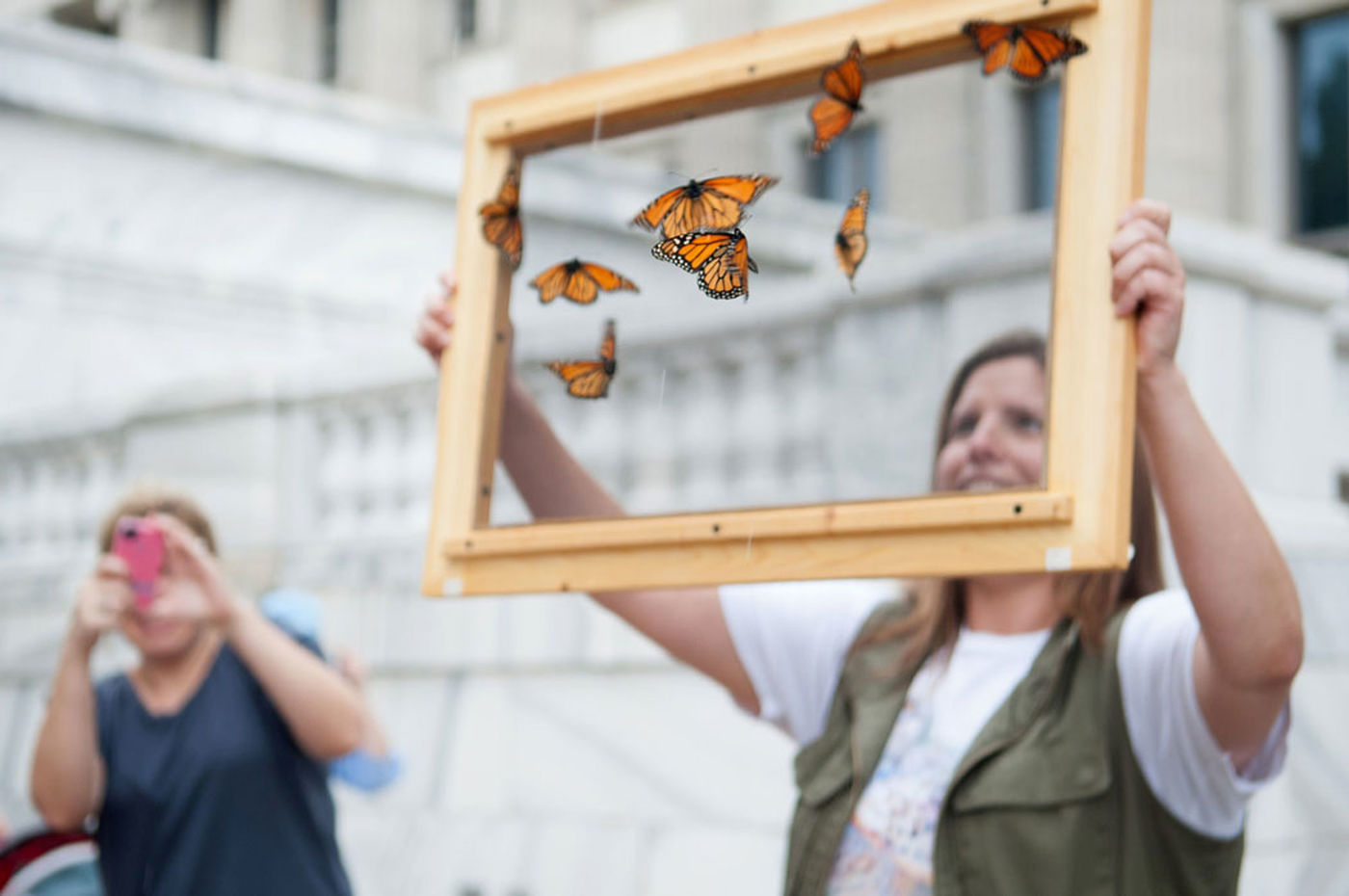 A woman holds up a frame with butterfly specimens