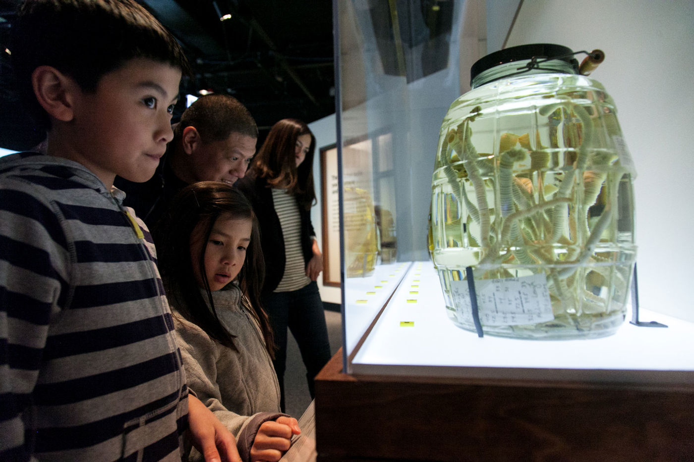 children looking at a lit specimen jar