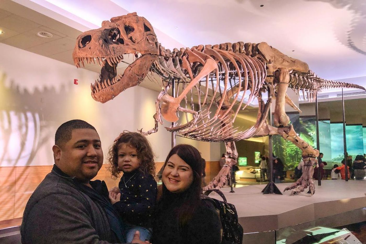 Media for Visiting SUE the T. rex: What to Know Before You Go