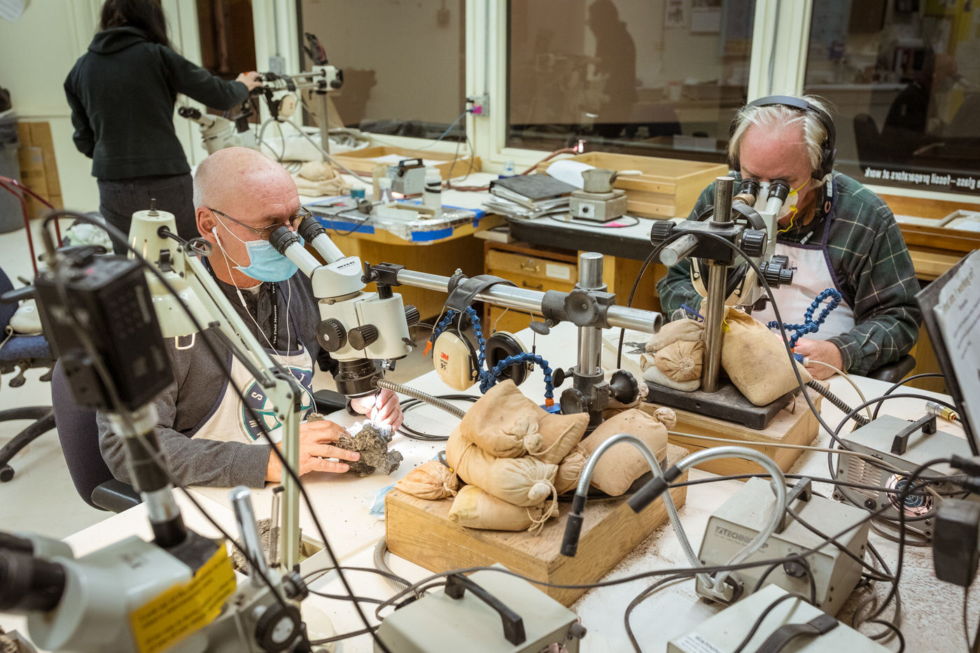 Two volunteers sit at a table and look into microscopes while they carve away at fossils. A woman in the background handles another microscope.