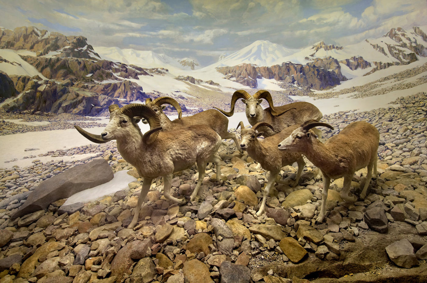 © The Field Museum, Z94462_10d