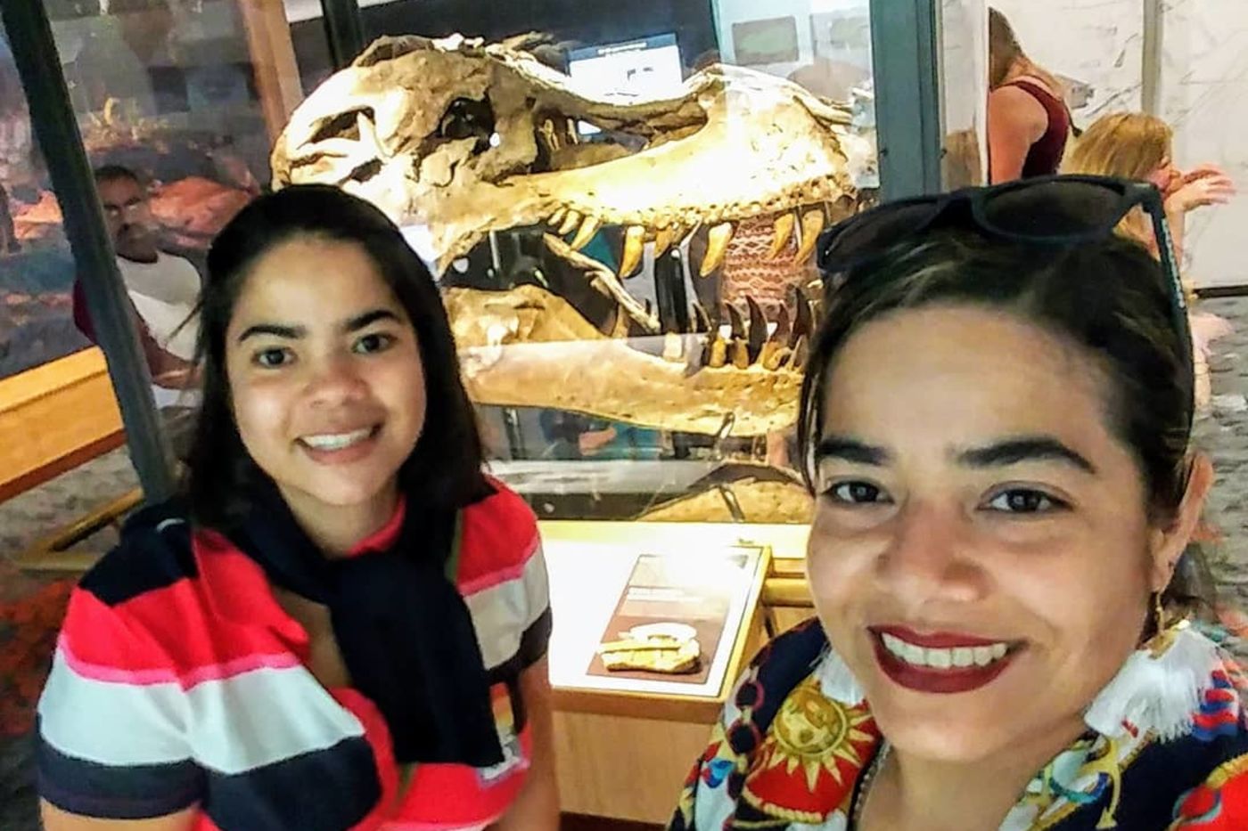 Media for Visiting SUE the T. rex: What to Know Before You Go
