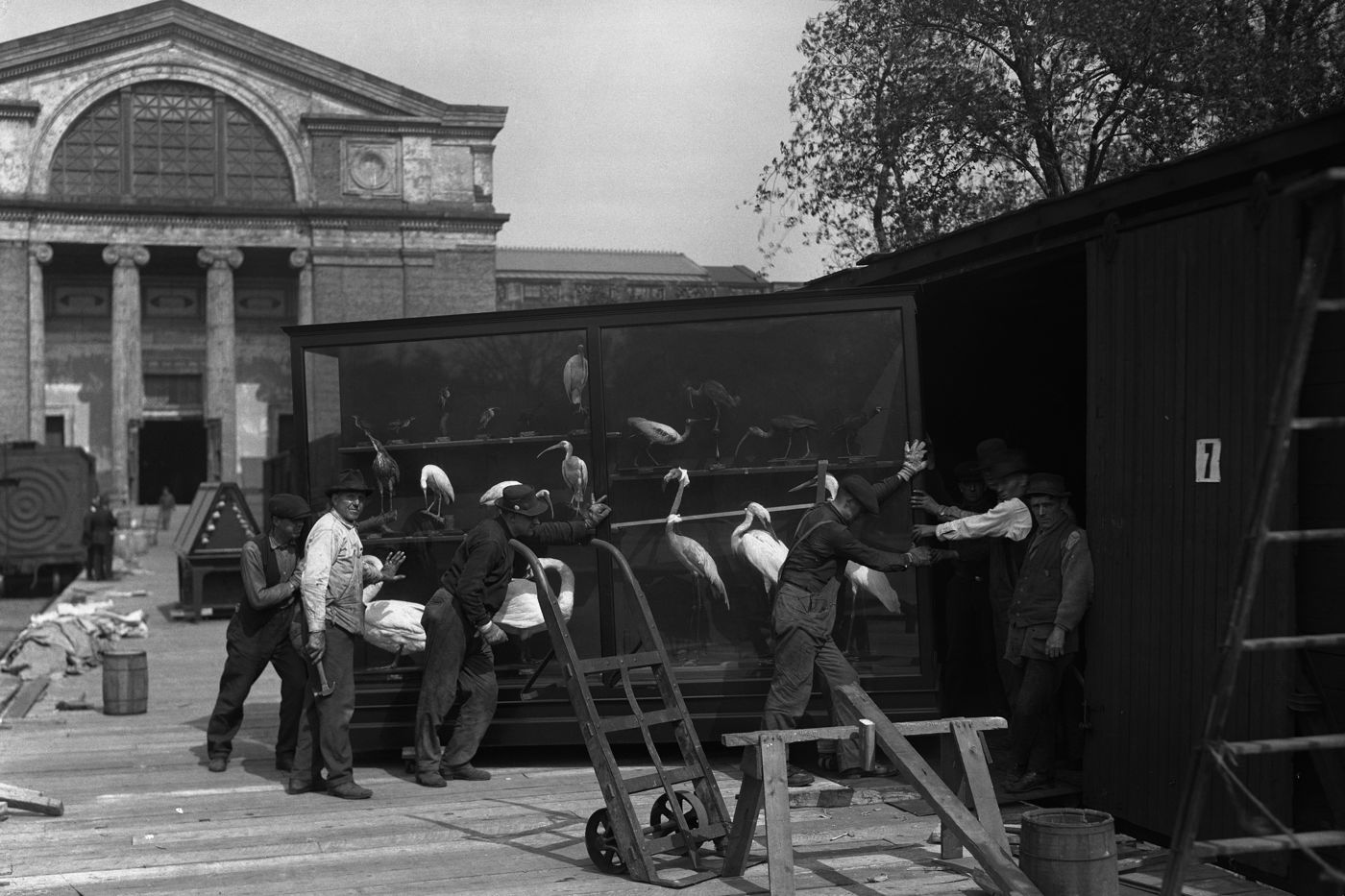 Media for Field Museum History