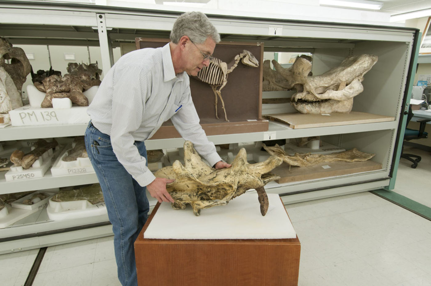 Man holding a fossil