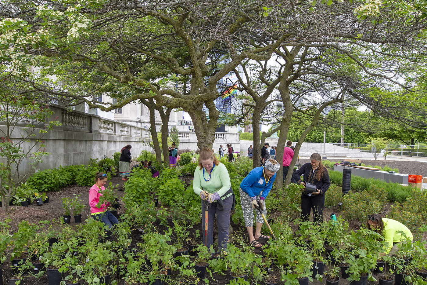 A group of women works in an outdoor garden. Some use shovels to prepare spots for new plants, while others prepare plants to be placed.