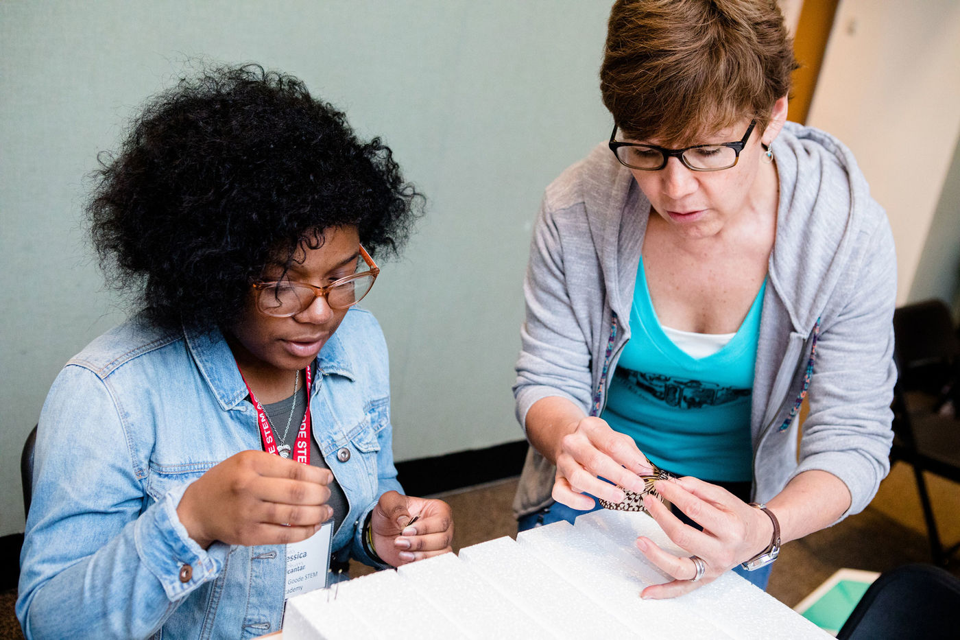 A woman and a teenage girl inspect butterfly specimens