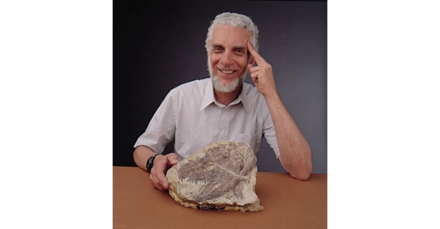 Media for Fossils & Meteorites: History