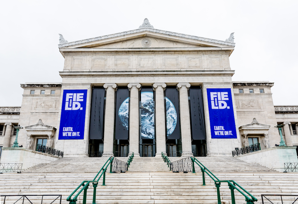 North entrance to the Field Museum